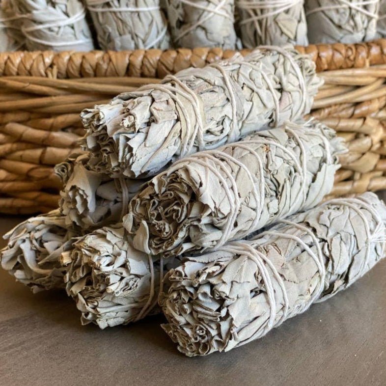 Sauge Blanche de Californie